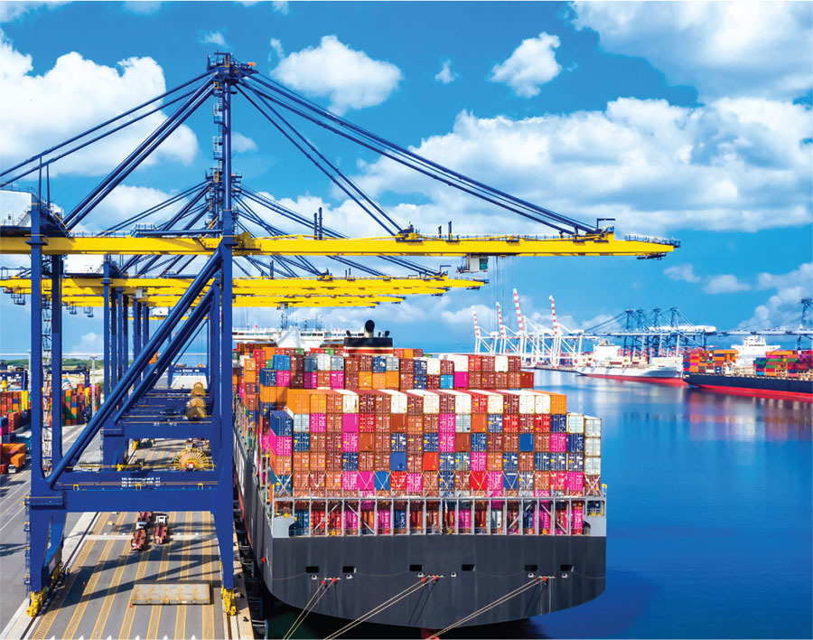 the maritime workforce development network