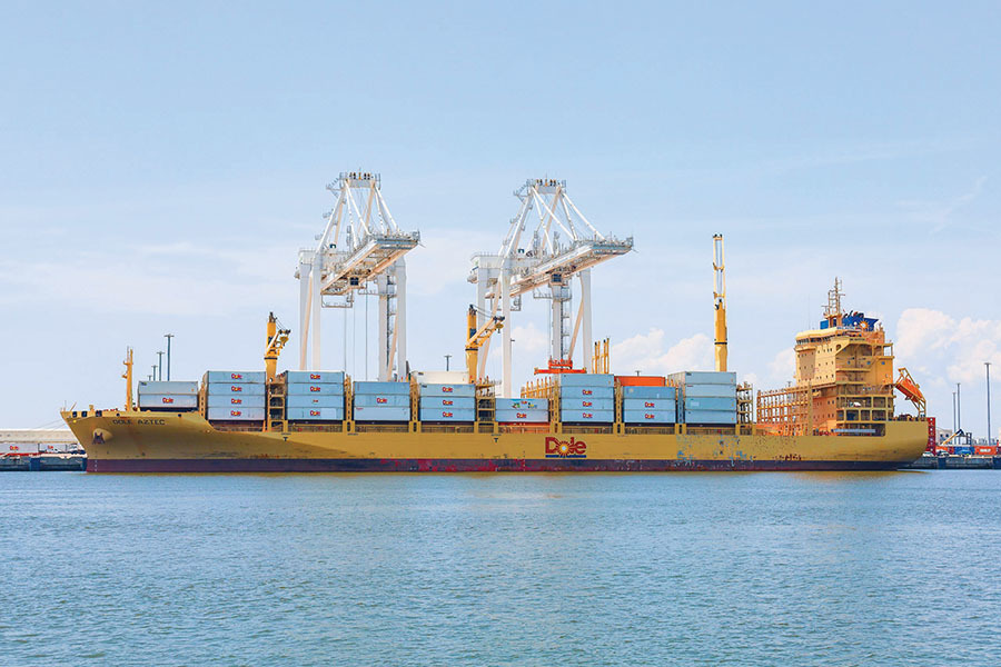 beyond the bottleneck